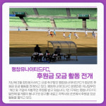 [카드뉴스] 강원 평창군 주요 뉴스 (3월 16일)