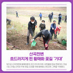 [카드뉴스] 경기 하남시 주요뉴스 (3월 25일)
