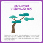 [카드뉴스] 강원 동해시 주요뉴스 (3월 28일)