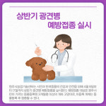[카드뉴스] 강원 원주시 주요뉴스 (3월 29일)