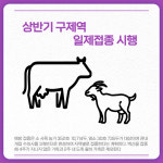 [카드뉴스] 강원 고성군 주요뉴스 (4월 5일)