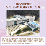 [카드뉴스] 경기 안성시 주요뉴스 (4월 8일)