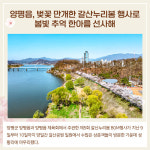 [카드뉴스] 경기 양평군 주요뉴스 (4월 12일)