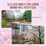 [카드뉴스] 올봄, 나들이장소 고민이라면 고양으로
