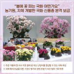 [카드뉴스] 경기도 주요뉴스 (4월 14일)
