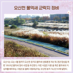 [카드뉴스] 경기 오산시 주요뉴스 (4월 14일)