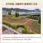 [카드뉴스] 경기 광주시 주요뉴스 (4월 25일)