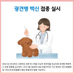 [카드뉴스] 강원 속초시 주요뉴스 (4월 27일)