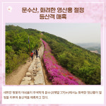 [카드뉴스] 경기 김포시 주요뉴스 (4월 29일)