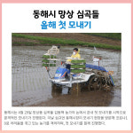 [카드뉴스] 강원 동해시 주요뉴스 (4월 29일)