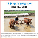 [카드뉴스] 강원 홍천군 주요뉴스 (5월 4일)