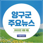 [카드뉴스] 강원 양구군 주요뉴스 (5월 9일)