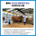 [카드뉴스] 경기도북부청 주요뉴스 (5월 11일)