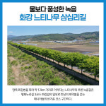 [카드뉴스] 강원 철원군 주요뉴스 (5월 11일)