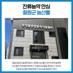 [카드뉴스] 강원 철원군 주요뉴스 (5월 17일)
