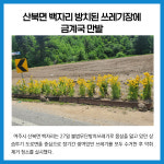 [카드뉴스] 경기 여주시 주요뉴스 (5월 30일)