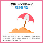 [카드뉴스] 강원 강릉시 주요뉴스 (6월 7일)