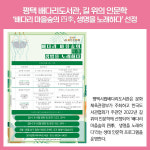 [카드뉴스] 경기 평택시 주요뉴스 (6월 8일)