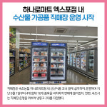 [카드뉴스] 강원 속초시 주요뉴스 (6월 8일)