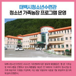 [카드뉴스] 강원 태백시 주요뉴스 (6월 24일)