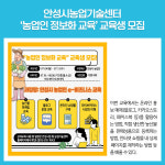 [카드뉴스] 경기 안성시 주요뉴스 (7월 4일)
