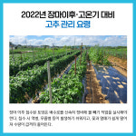 [카드뉴스] 경기 김포시 주요뉴스 (7월 6일)