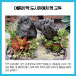 [카드뉴스] 경기 파주시 주요뉴스 (7월 27일)