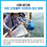 [카드뉴스] 경기 김포시 주요뉴스 (7월 28일)