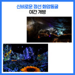 [카드뉴스] 강원 정선군 주요뉴스 (8월 2일)