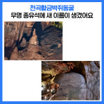 [카드뉴스] 강원 동해시 주요뉴스 (8월 2일)