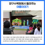 [카드뉴스] 강원 양구군 주요뉴스 (8월 3일)