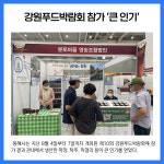 [카드뉴스] 강원 동해시 주요뉴스 (8월 10일)