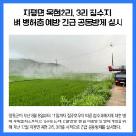 [카드뉴스] 경기 양평군 주요뉴스 (8월 12일)