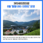 [카드뉴스] 강원 태백시 주요뉴스 (8월 12일)