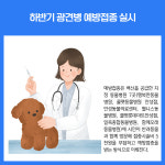 [카드뉴스] 경기 안성시 주요뉴스 (8월 19일)