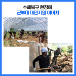 [카드뉴스] 경기 양평군 주요뉴스 (8월 19일)