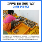 [카드뉴스] 강원 양양군 주요뉴스 (8월 29일)