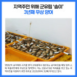 [카드뉴스] 강원 양양군 주요뉴스 (8월 30일)