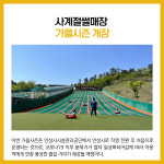 [카드뉴스] 경기 안성시 주요뉴스 (9월 15일)
