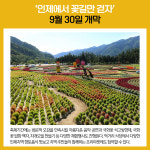 [카드뉴스] 강원 인제군 주요뉴스 (9월 29일)