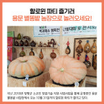 [카드뉴스] 경기 양평군 주요뉴스 (10월 5일)