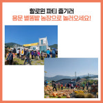 [카드뉴스] 경기 양평군 주요뉴스 (10월 5일)