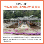 [카드뉴스] 강원 횡성군 주요뉴스 (10월 6일)