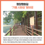 [카드뉴스] 강원 평창군 주요뉴스 (10월 11일)