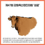 [카드뉴스] 강원도 주요뉴스 (10월 17일)