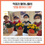 [카드뉴스] 강원 영월군 주요뉴스 (10월 18일)