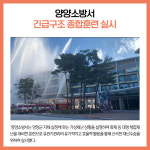 [카드뉴스] 강원 양양군 주요뉴스 (10월 19일)