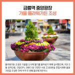 [카드뉴스] 경기 파주시 주요뉴스 (10월 26일)