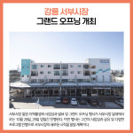 [카드뉴스] 강원 강릉시 주요뉴스 (10월 27일)
