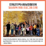 [카드뉴스] 강원 인제군 주요뉴스 (10월 31일)